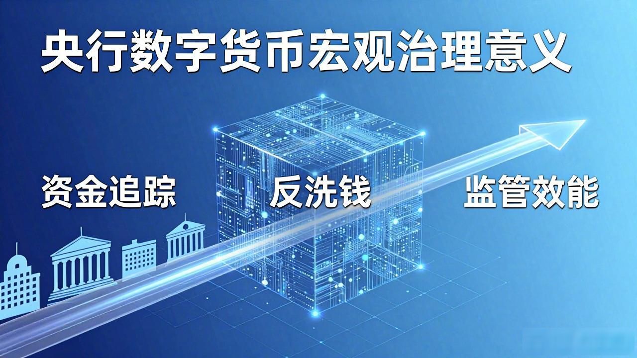 数字货币国家信用体系_建立数字货币意义何在_数字货币资金链路透明度